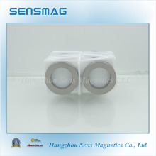 Customized Powerful Rare Earth SmCo Ring Magnet for Motor